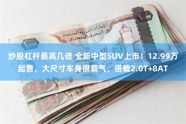 炒股杠杆最高几倍 全新中型SUV上市！12.99万起售，大尺寸车身很霸气，搭载2.0T+8AT