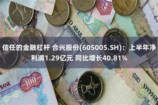 信任的金融杠杆 合兴股份(605005.SH)：上半年净利润1.29亿元 同比增长40.81%