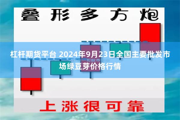 杠杆期货平台 2024年9月23日全国主要批发市场绿豆芽价格行情