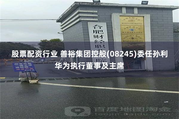 股票配资行业 善裕集团控股(08245)委任孙利华为执行董事及主席