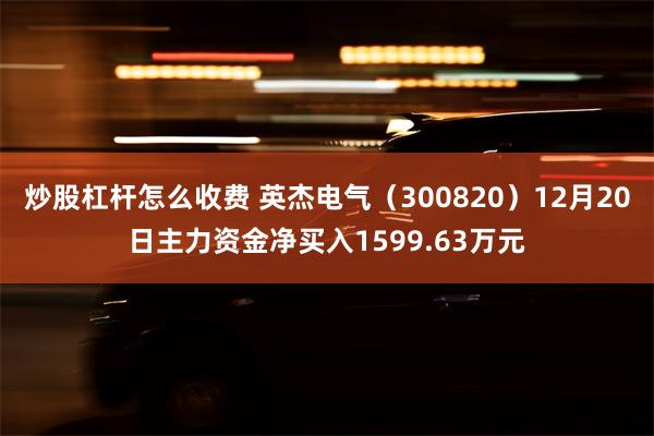 炒股杠杆怎么收费 英杰电气（300820）12月20日主力资金净买入1599.63万元