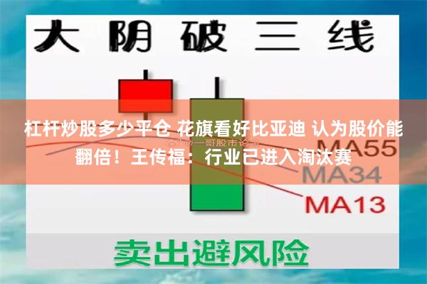 杠杆炒股多少平仓 花旗看好比亚迪 认为股价能翻倍！王传福：行业已进入淘汰赛