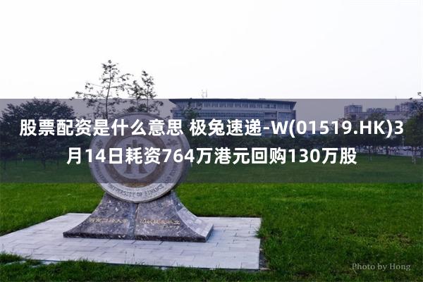 股票配资是什么意思 极兔速递-W(01519.HK)3月14日耗资764万港元回购130万股